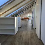 Pinna Nobilis Penthouse